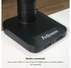 Gasfeder-Arm für Bildschirm, einfache Unterstützung, Platinum Series
