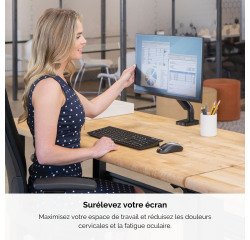 Bras support écran simple à ressort à gaz Platinum Series