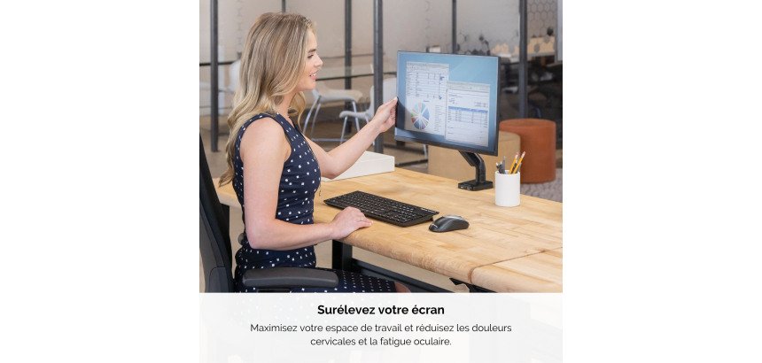 Bras support écran simple à ressort à gaz Platinum Series