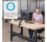 Bras support écran simple à ressort à gaz Platinum Series