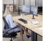 Bras porte écrans double Reflex Fellowes noir