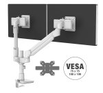 Bras support écran double compact avec glissières Tallo Top Mount Fellowes