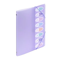 Trieur plastique Viquel Propysoft 8 divisions 25,5 x 32 cm