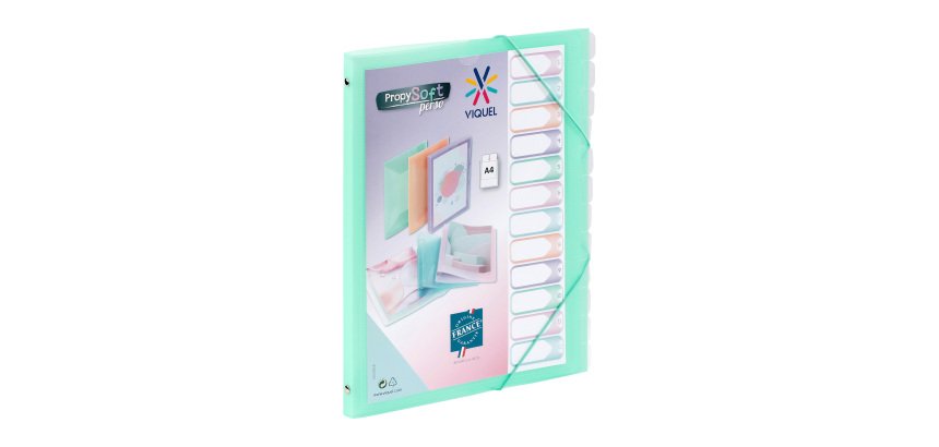 Trieur plastique Viquel Propysoft 12 divisions 25,5 x 32,5 cm