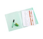 Trieur plastique Viquel Propysoft 12 divisions 25,5 x 32,5 cm