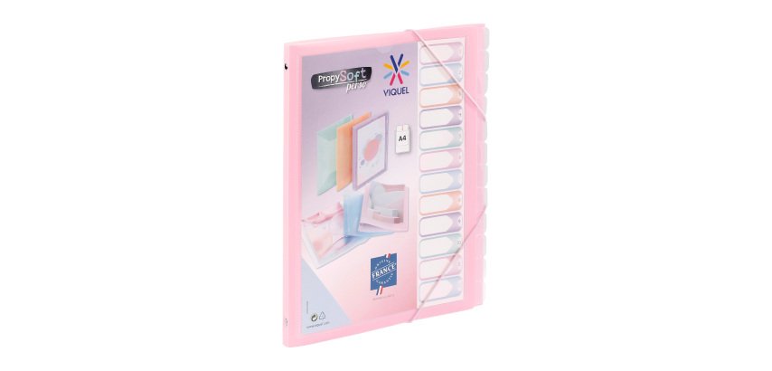 Trieur plastique Viquel Propysoft 12 divisions 25,5 x 32 cm