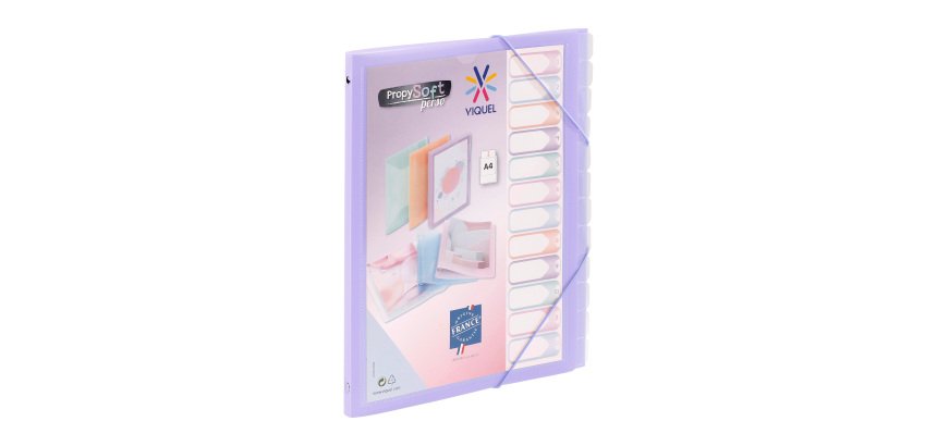 Trieur plastique Viquel Propysoft 12 divisions 25,5 x 32 cm
