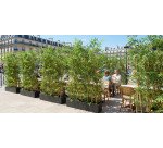 Artificial indoor and outdoor plant - high density Japanese Bamboo hedge