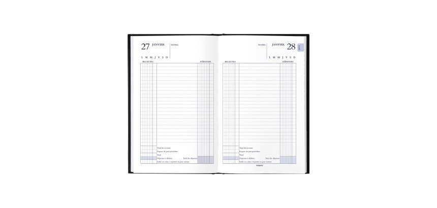 Agenda carré Perpétuel Recette-Dépense journalier - 21,4 x 14 cm