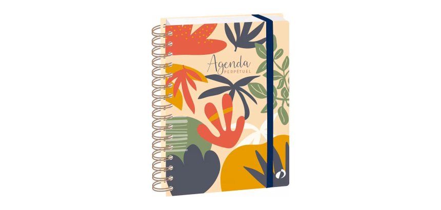 Quo Vadis - Agenda perpétuel - Spiralé - Semainier Horizontal - Français - Eterny - Multicolore - Perpétuel - 15x21 cm