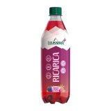En_cf12 pet 50cl ricarica lev