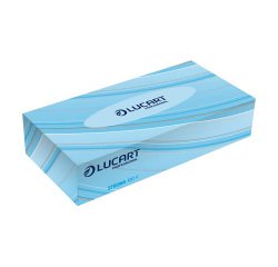Pañuelos faciales Lucart Strong 100V - caja de 100