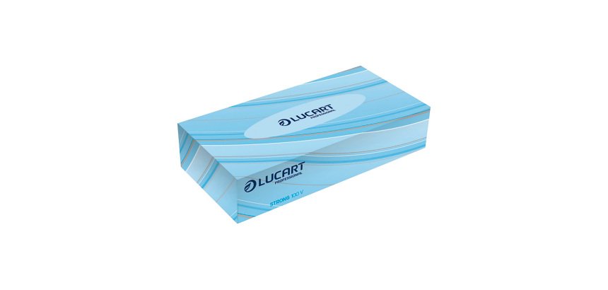 Pañuelos faciales Lucart Strong 100V - caja de 100