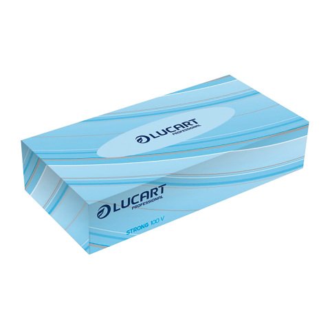 Pañuelos faciales Lucart Strong 100V - caja de 100