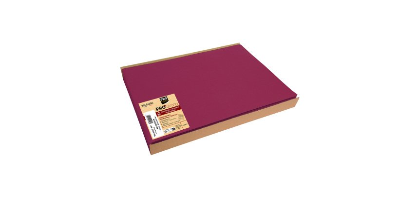 Set de table spundbond 30 x 40 cm Pronappe, bordeaux  - Barquette de 100