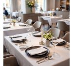 Table napkin in non-woven cotton wool Royal Collection 40 x 40 cm white - Pack of 50