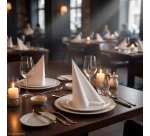 Table napkin in non-woven cotton wool Royal Collection 40 x 40 cm white - Pack of 50
