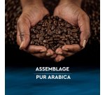 Café moulu Carte Noire décaféiné 100 % Arabica  - Paquet de 250 g