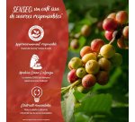 Dosettes de café Senseo Espresso Intense - Paquet de 32