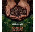 Café en grains Carte Noire Bio Intense - paquet de 1 kg