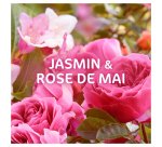 Lessive Pods Dash 2 en 1 fraicheur Jasmin et rose de mai - 38 lavages