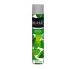Désodorisant professionnel Boldair fraîcheur mentholée – Aérosol de 500 ml