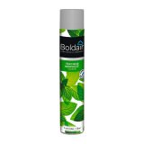 Désodorisant professionnel Boldair fraîcheur mentholée – Aérosol de 500 ml