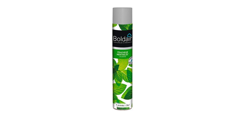 Désodorisant professionnel Boldair fraîcheur mentholée – Aérosol de 500 ml