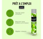 Désodorisant professionnel Boldair fraîcheur mentholée – Aérosol de 500 ml