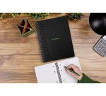 Cahier spirale Rhodia Greenbook A4+ 22,5 x 29,7 cm - petits carreaux - perforé 4 trous - 160 pages - couverture carte rigide
