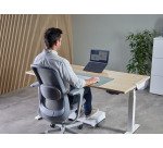Fellowes Supporto Laptop Portatile Alumia