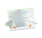 Cuadernos Write&erase tapa dura Fº 80 hojas 4x4 colores vivos Oxford - Pack 4 + 1 GRATIS