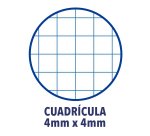 Cuadernos Write&erase tapa dura Fº 80 hojas 4x4 colores vivos Oxford - Pack 4 + 1 GRATIS