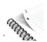 Cuaderno espiral Oxford International Notebook A+ 23 x 29,7 cm - perforado 4 agujeros - cuadros pequeños 160 páginas