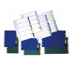 Separadores Grafoplas PVC 150 micras A4 transparente 10 pestañas  - 16 taladros