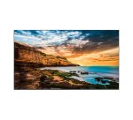 Samsung QE43T Écran plat de signalisation numérique 109,2 cm (43") LCD 300 cd/m² 4K Ultra HD Noir Tizen 4.0