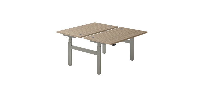 Height-adjustable electric Ergomaxx Memo 2-office workstation L 140 x W 80 cm elm wood top.