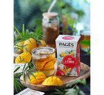 Thé à froid saveur mangue Pagès – Boîte de 20 sachets