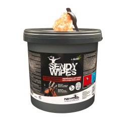 Salviette umidificate Sandy Wipes Nettuno - secchiello da 100pz