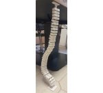 Vertebra salita cavi colore bianco