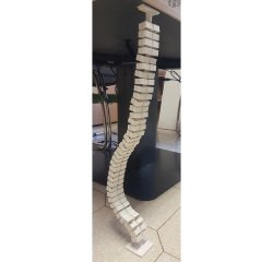 En_vertebra salita cavi bianco