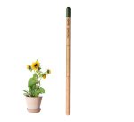 Crayon papier avec graines publicitaire - marquage gravure laser