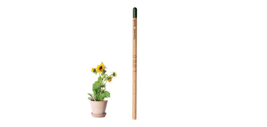 Pencil with advertising seeds - laser engraving marking