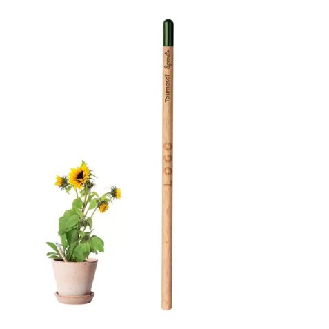 Crayon papier avec graines publicitaire - marquage gravure laser