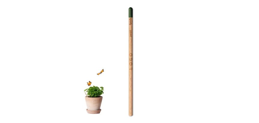 Pencil with advertising seeds - laser engraving marking