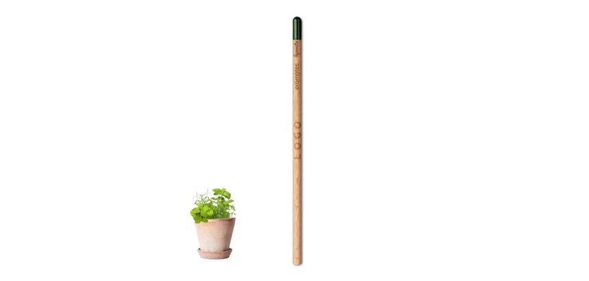 Crayon papier avec graines publicitaire - marquage gravure laser