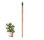 Crayon papier avec graines publicitaire - marquage gravure laser