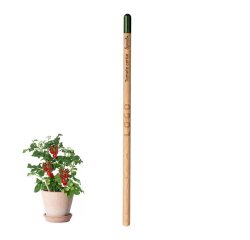 Pencil with advertising seeds - laser engraving marking