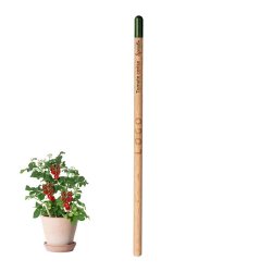 Crayon papier avec graines publicitaire - marquage gravure laser