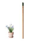 Crayon papier avec graines publicitaire - marquage gravure laser